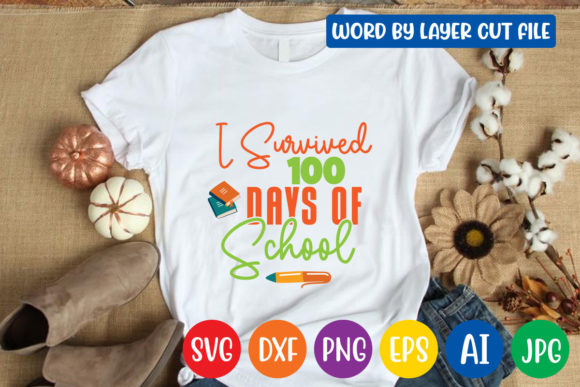 I Survived 100 Days of School: A Designer’s Review
